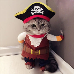 Kitty Pirate