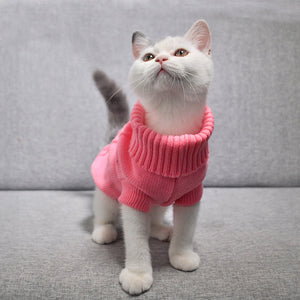 Warm Cat Knitted Sweater